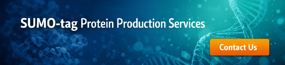 SUMO-tag Protein Production Services