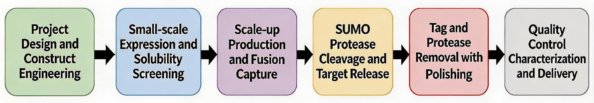 SUMO-tag Enhanced Protein Production