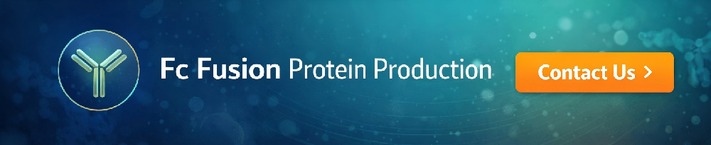 Fc Fusion Protein Production Service