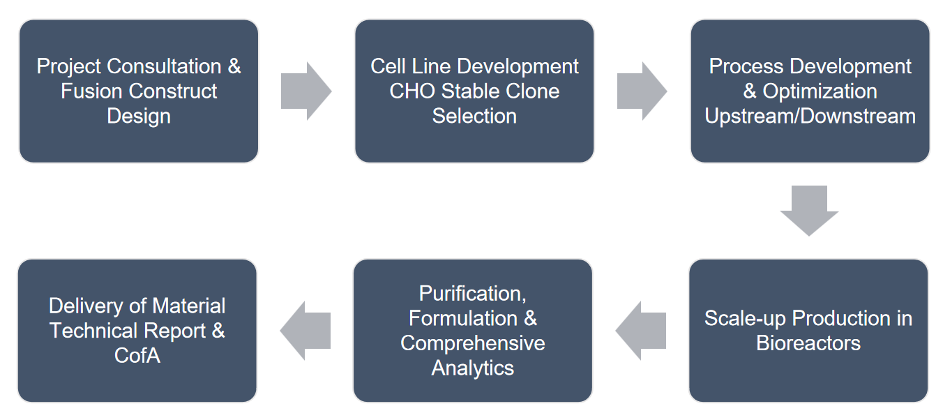 Fc Fusion Protein Production