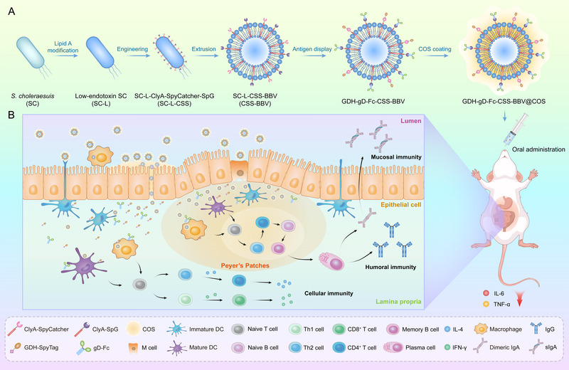 Vaccine Candidate Antigens