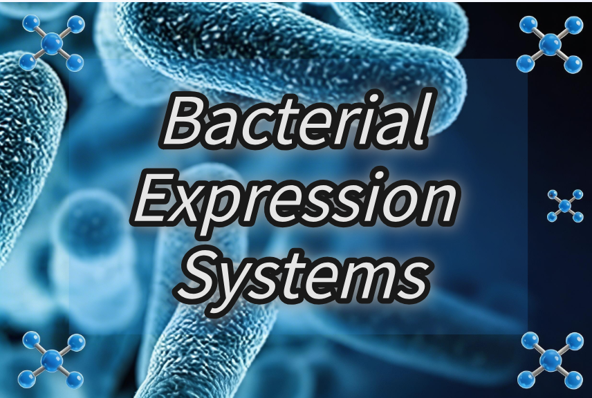 Bacterial Expression Systems