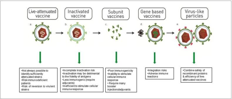 Vaccine Antigen and VLP Production