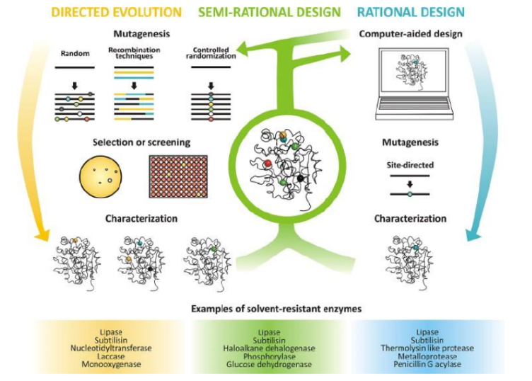 Membrane Proteins and Receptor Expression