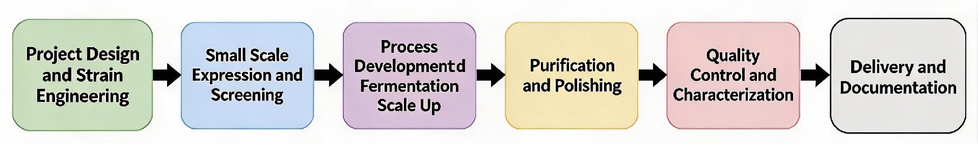 Nebulabio Service Workflow