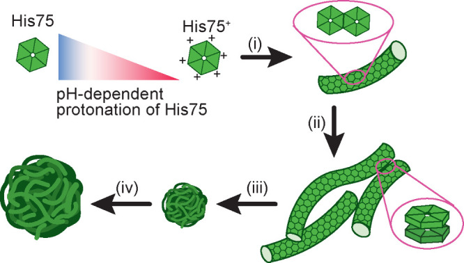 Structural Biology and Structure Enabled Discovery