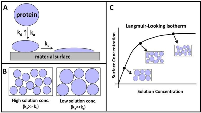 High Throughput Screening and Lead Optimization