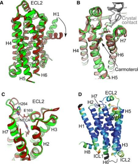 Structural Biology and Cryo EM