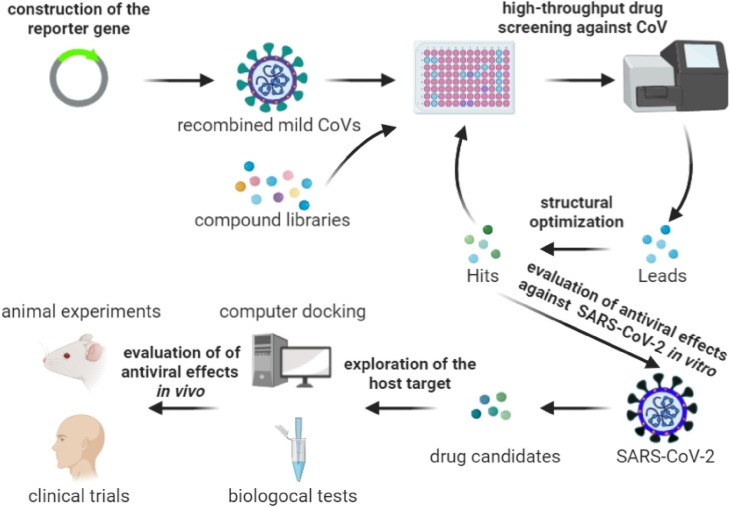 High Throughput Drug Screening
