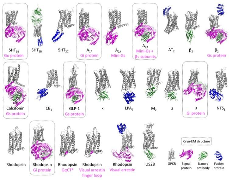 Structural Biology