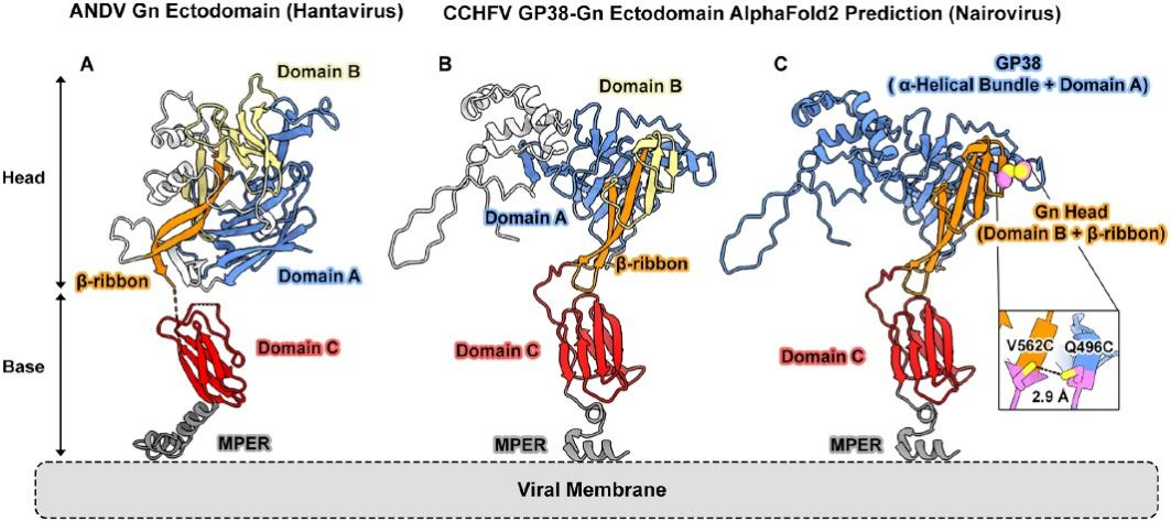Vaccine Antigen Production in Research Pipelines