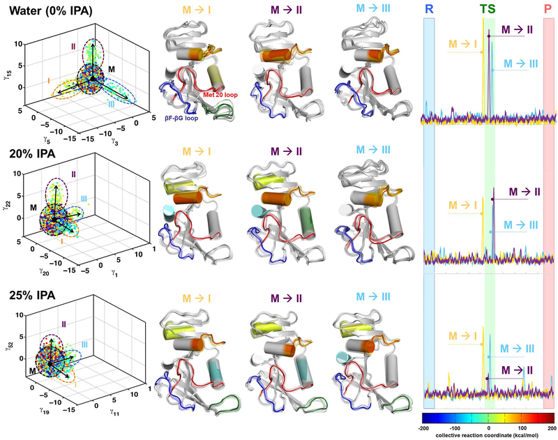 Enzyme Activity and Kinetic Studies