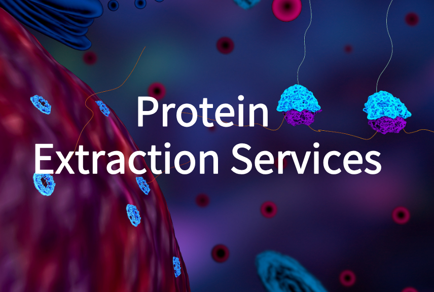 Protein Extraction Services