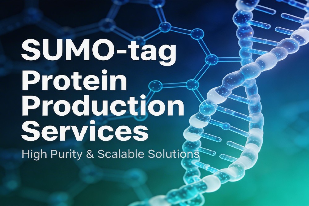 SUMO-tag Protein Production Services