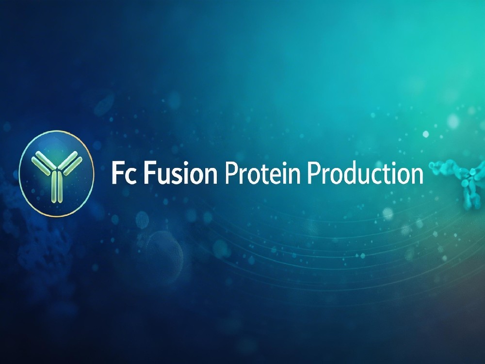 Fc Fusion Protein Production Service