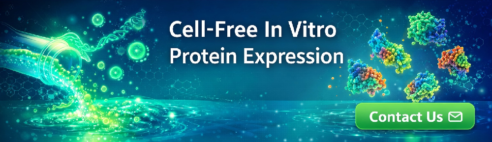 Cell-Free In Vitro Protein Expression