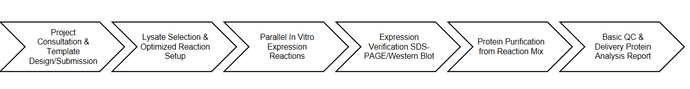Nebulabio Service Process