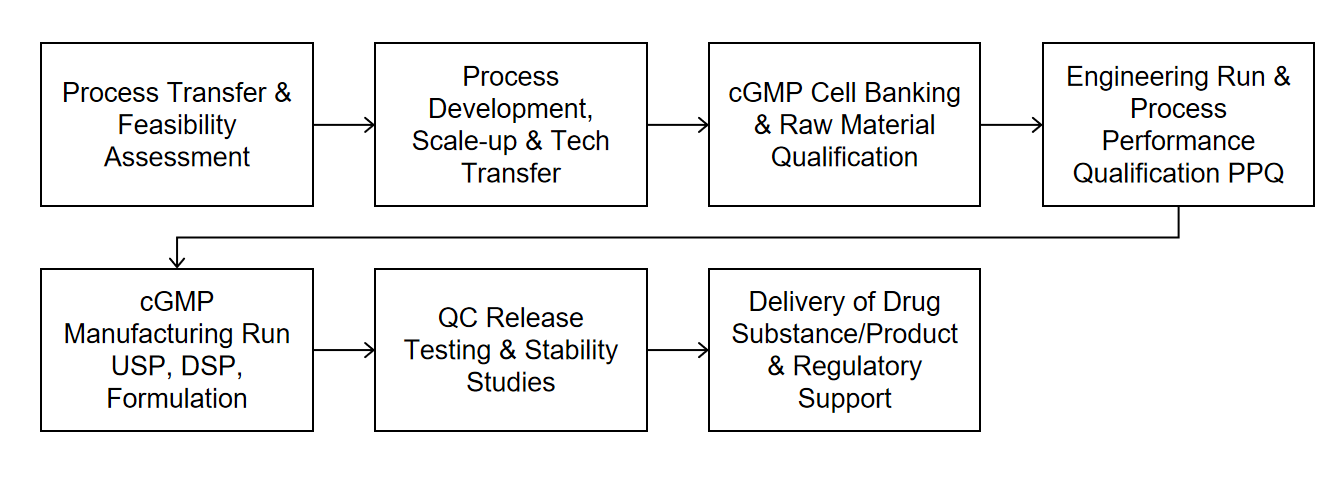 Large-Scale Protein Production Service