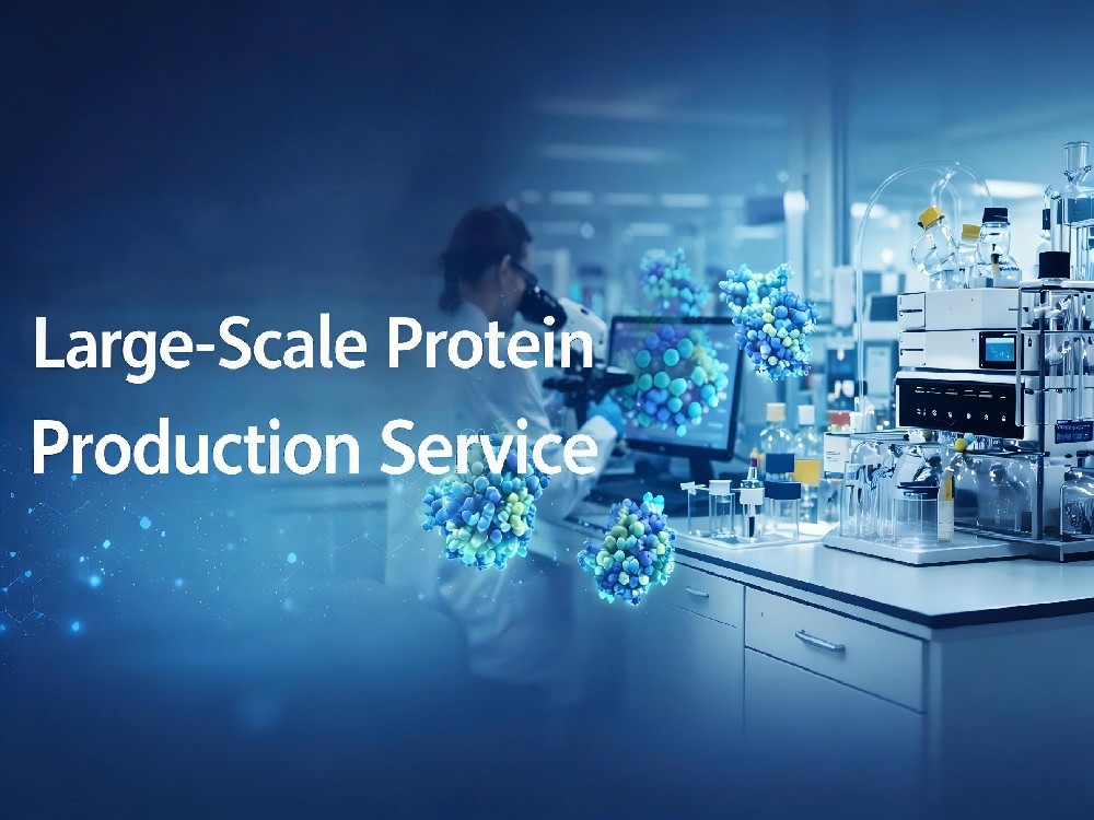 Large-Scale Protein Production Service