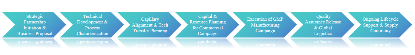 Industrial-Scale Customization Platform
