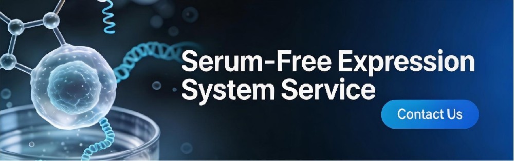 Serum-Free Expression System Service