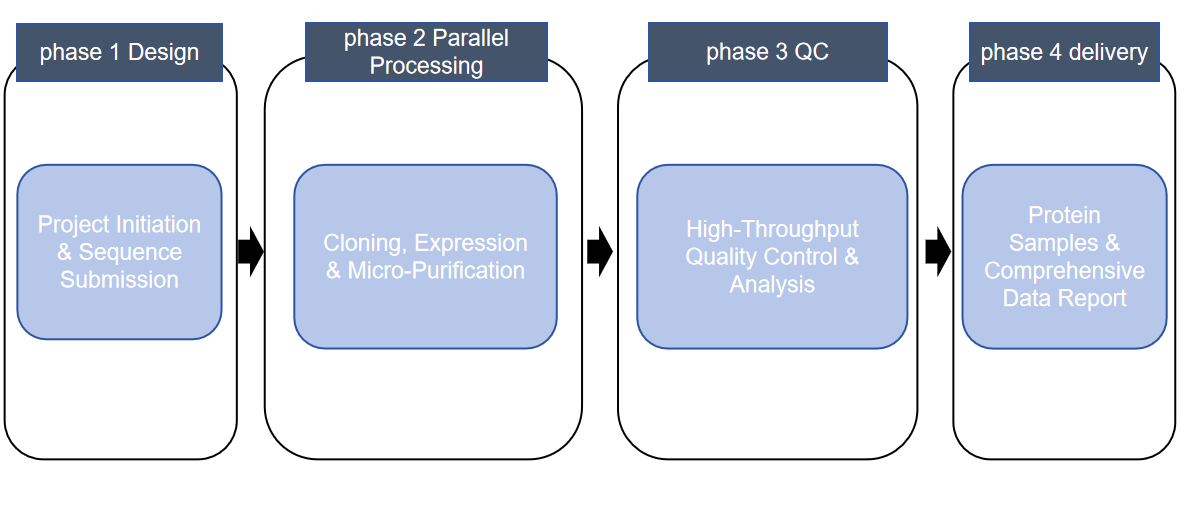 High-throughput Protein Production
