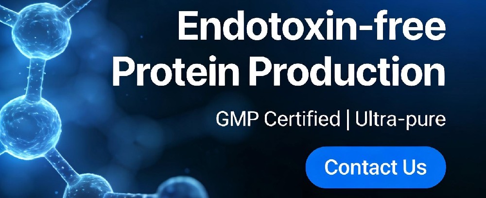 Endotoxin-free Protein Production Service