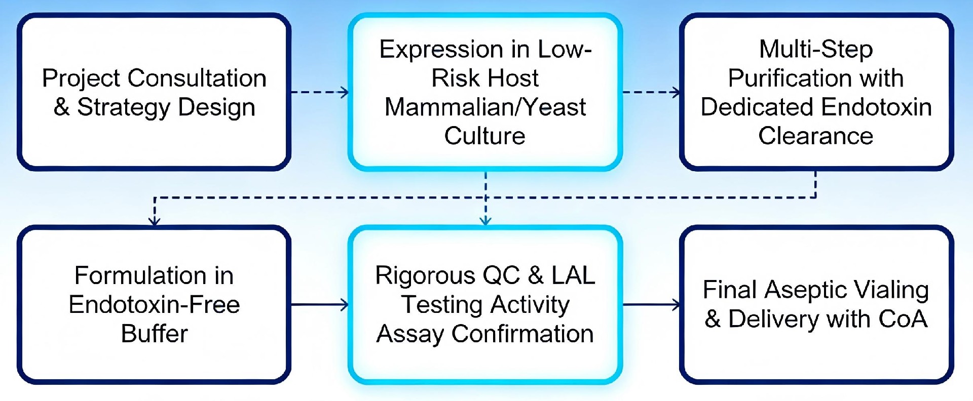 Endotoxin-free Protein Production