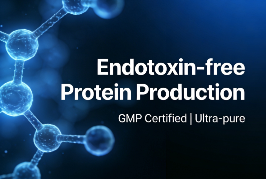 Endotoxin-free Protein Production Service