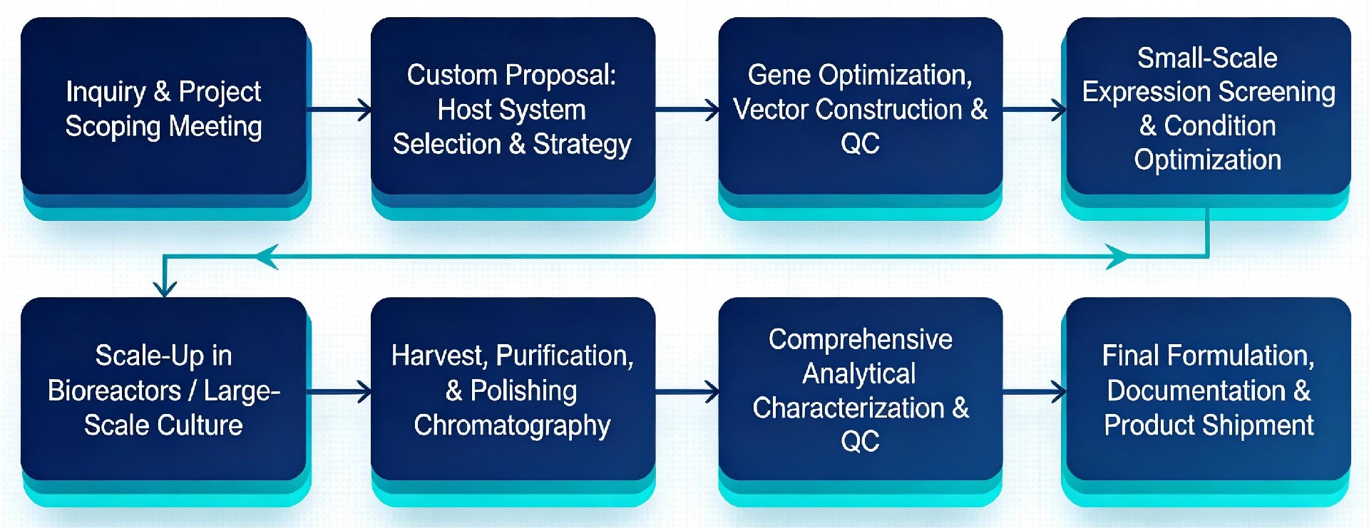 Protein Expression Services