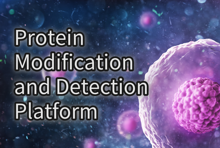Protein Modification and Detection Platform