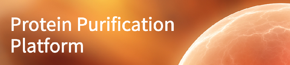 未命名1.png