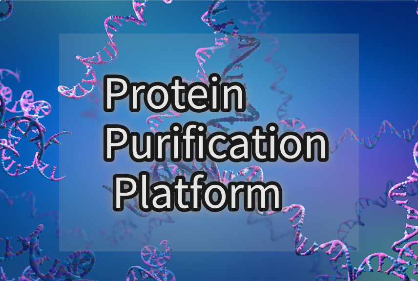 Protein Purification Platform