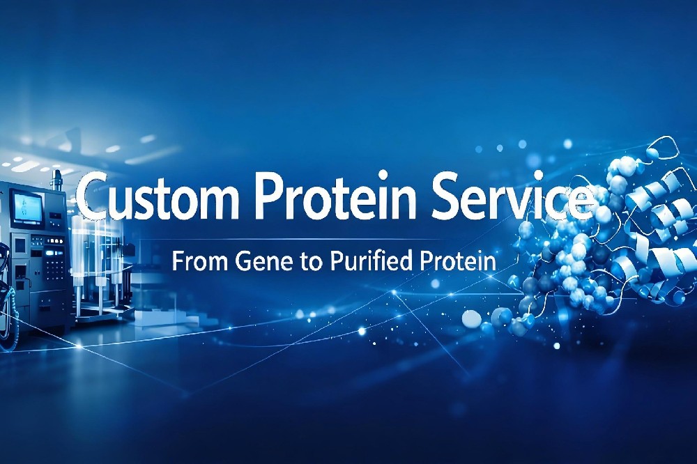 Custom Protein Service