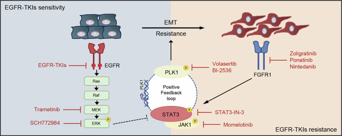 Receptor & membrane protein workflows