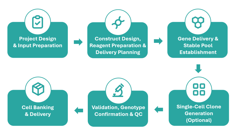 Stable Cell Line Services