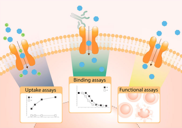 Assay development