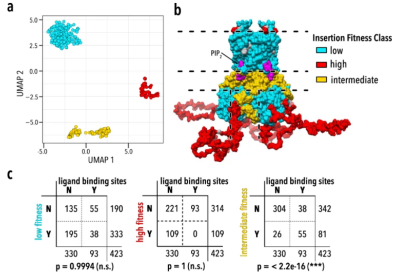 Disease Variant Functional Analysis