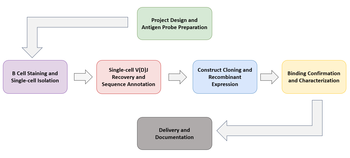 Single B Cell Sorting Platform