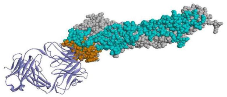 Infectious Disease and Vaccine Research