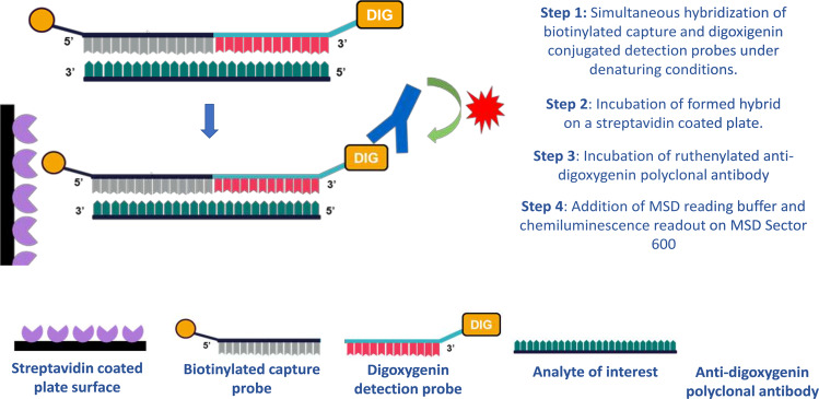 Diagnostic Reagent Development