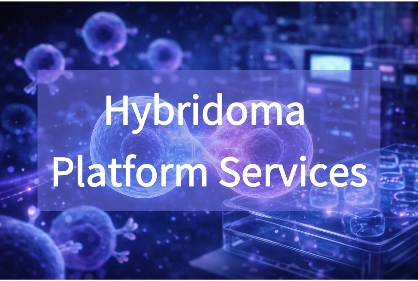 Hybridoma Platform Services