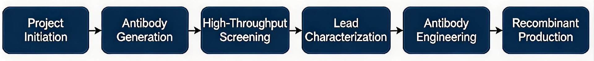 Monoclonal Antibody Discovery