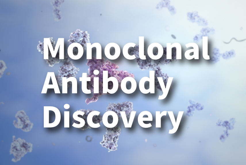 Monoclonal Antibody Discovery