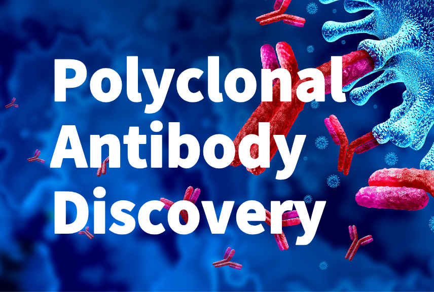 Polyclonal Antibody Discovery