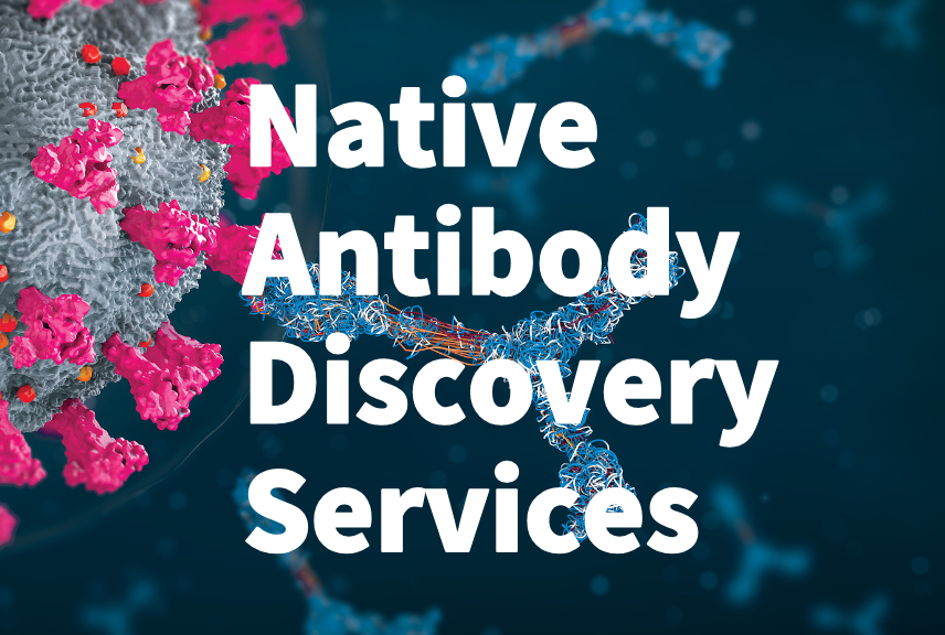 Native Antibody Discovery Services