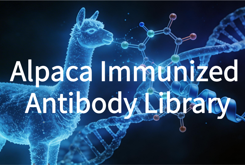 Alpaca Immunized Antibody Library