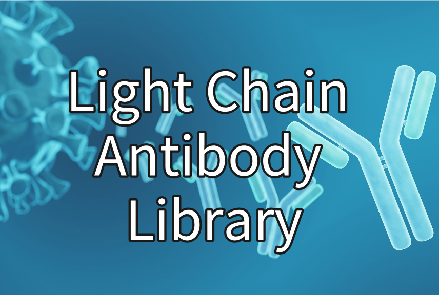 Light Chain Antibody Library