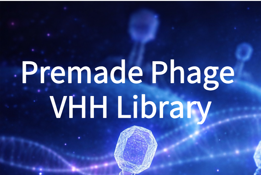 Premade Phage VHH Library