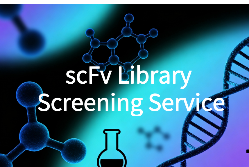 scFv Library Screening Service